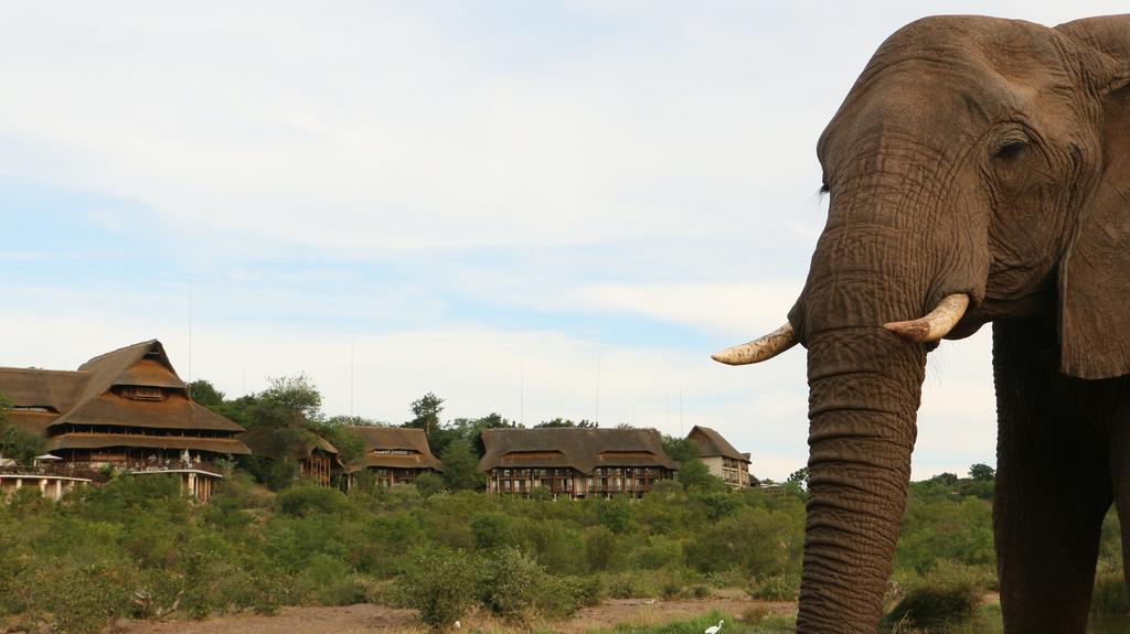 Victoria Falls Safari Suites Экстерьер фото